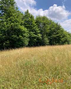 Građevinsko zemljište na prodaju, Kaluđerske bare, 22.000€, 4.9a